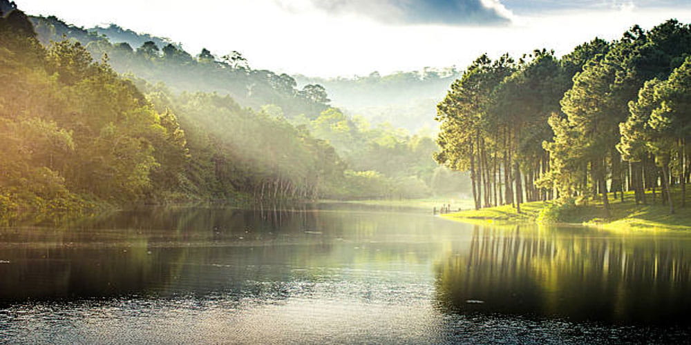 Forest and lake image.