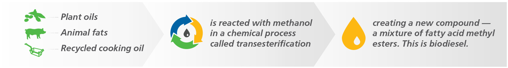 Feedstock flexibility infographic.